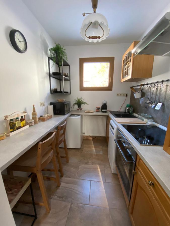 Ferienhaus Dana シュタインハウス・アム・ゼンメリング エクステリア 写真